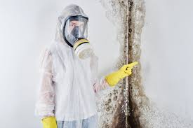 Best Comprehensive Air Testing for Mold Contaminants  in Russell, KY